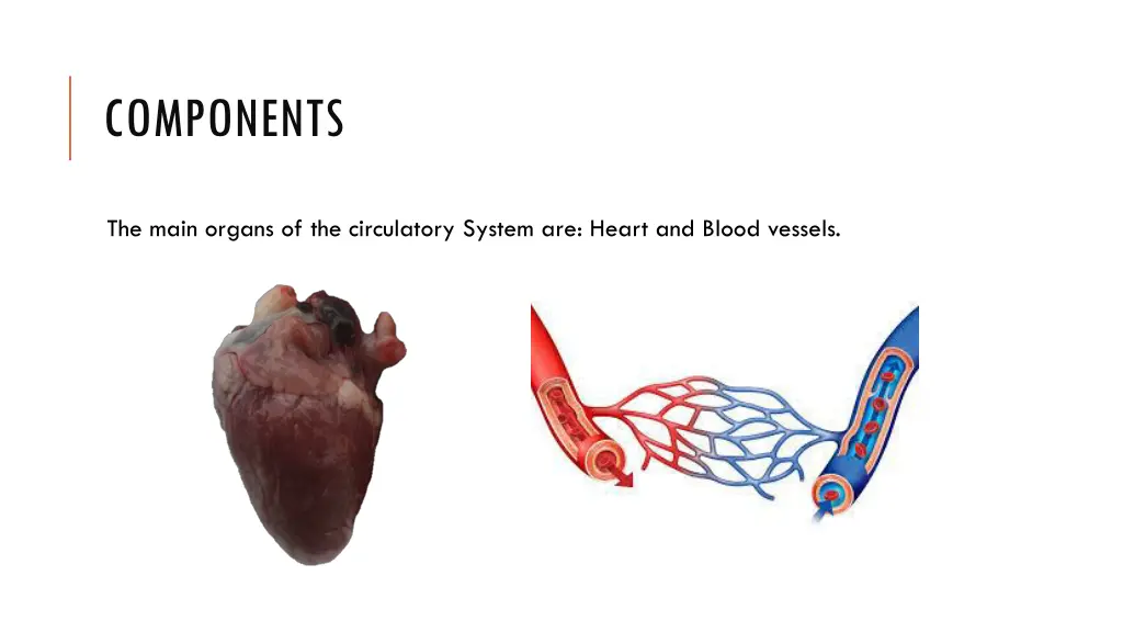 components