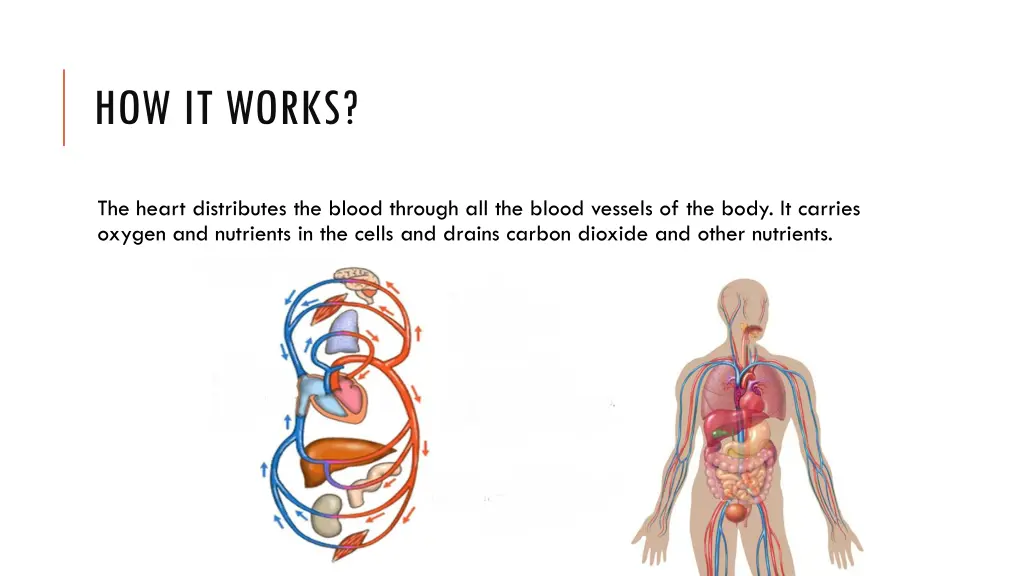how it works