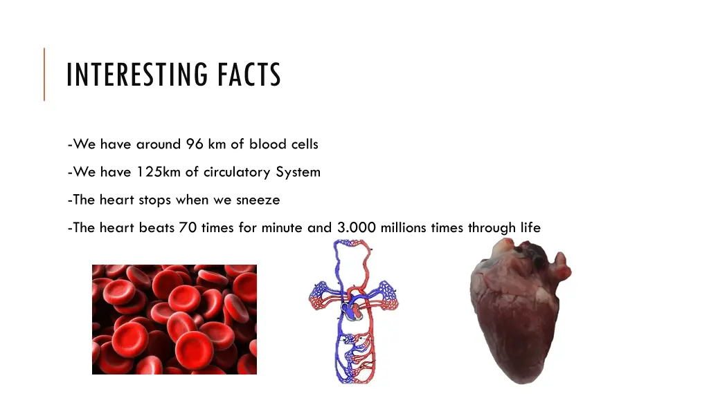 interesting facts