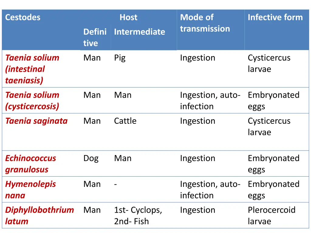 cestodes 1