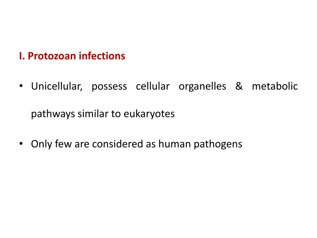 i protozoan infections