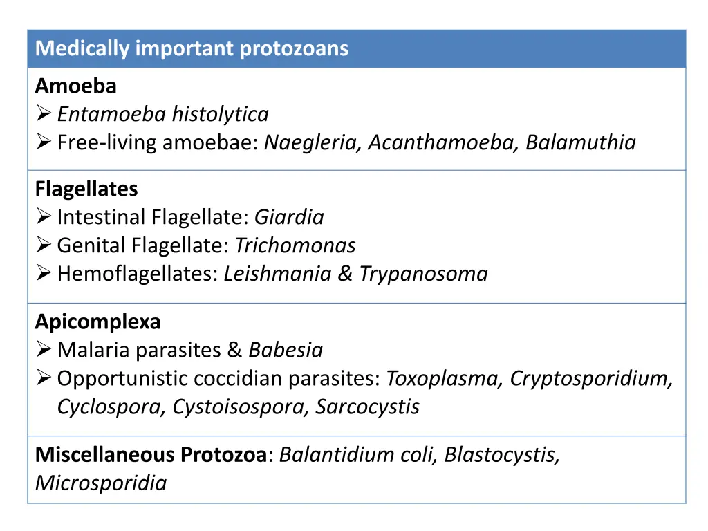 medically important protozoans