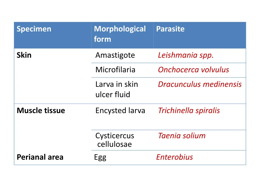 morphological form