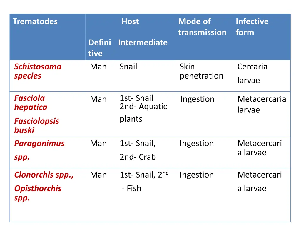 trematodes