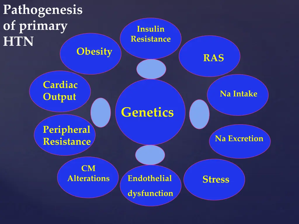 pathogenesis of primary htn