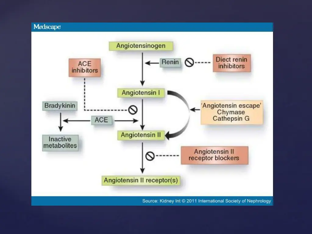 slide8
