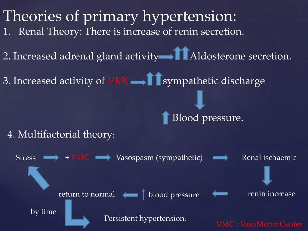 theories of primary hypertension 1 renal theory