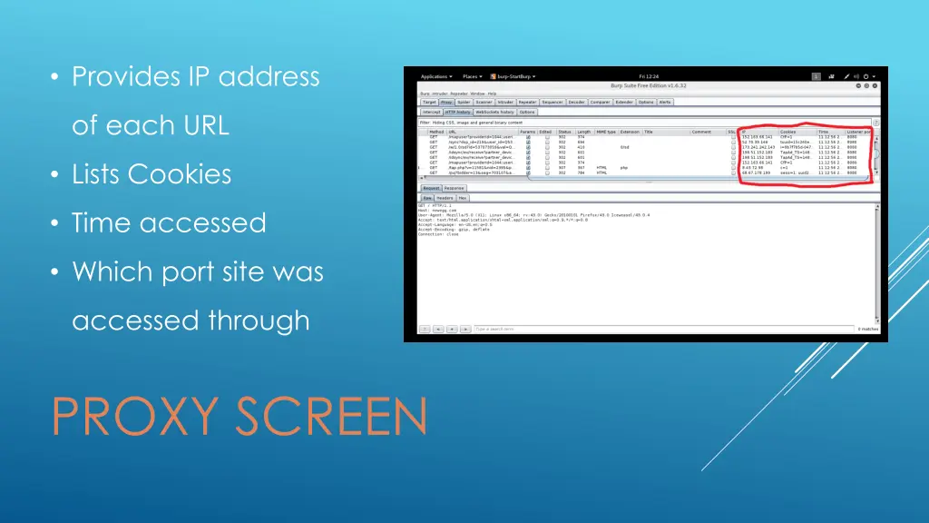 provides ip address