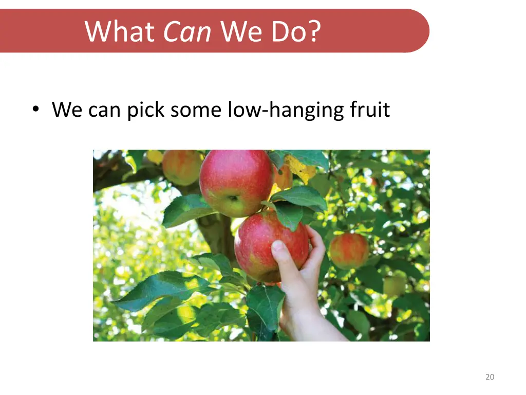 what can we do