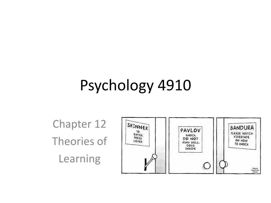psychology 4910