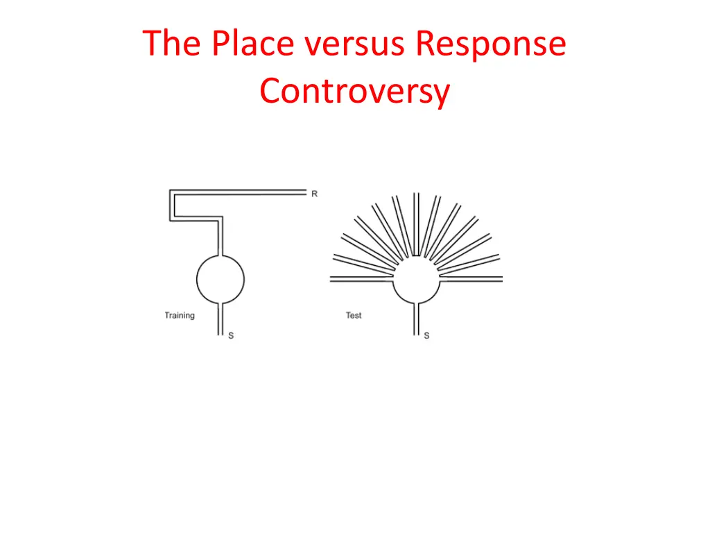 the place versus response controversy 1