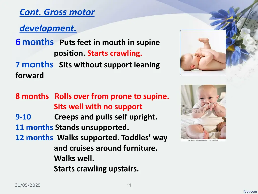 cont gross motor development 6 months puts feet
