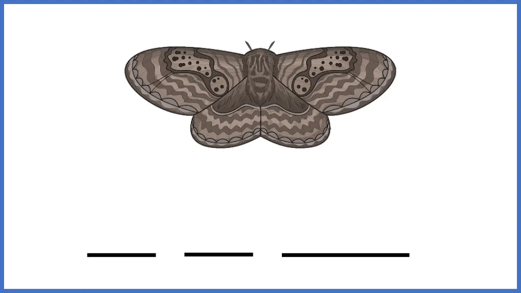 slide2