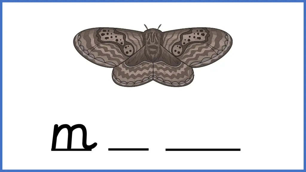 slide3