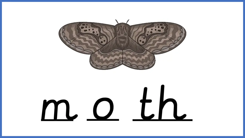slide5