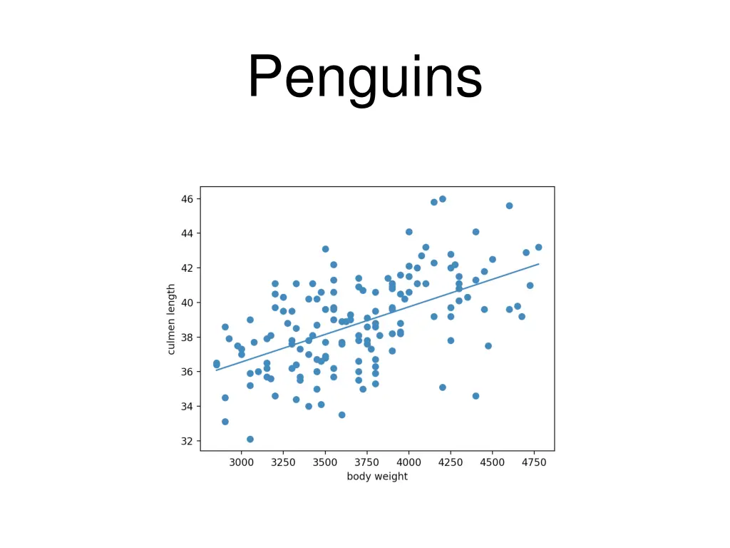 penguins 16
