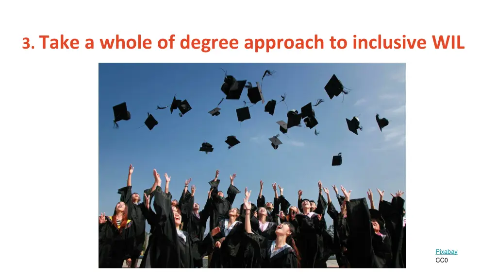 3 take a whole of degree approach to inclusive wil