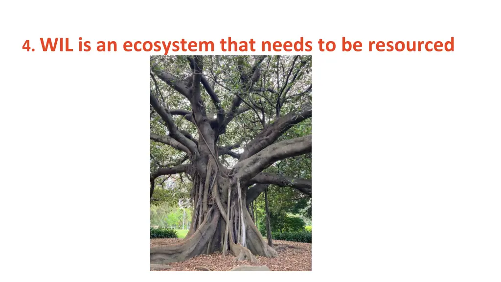 4 wil is an ecosystem that needs to be resourced