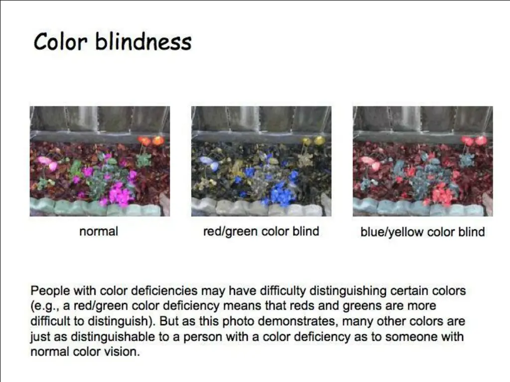 slide12