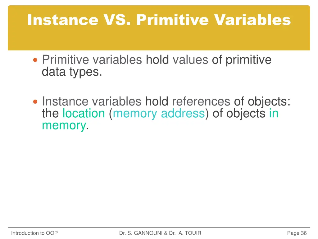 instance vs primitive variables