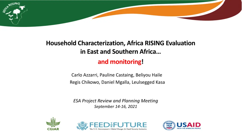 household characterization africa rising