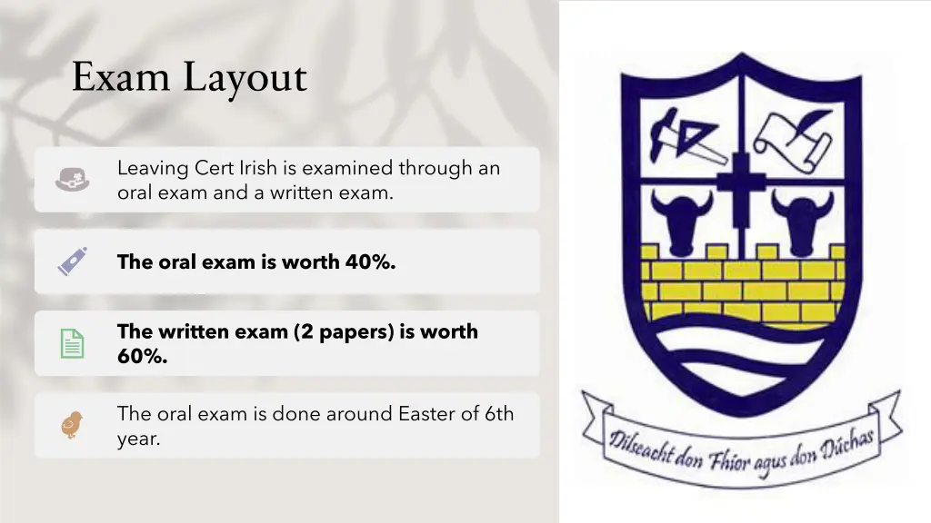 exam layout