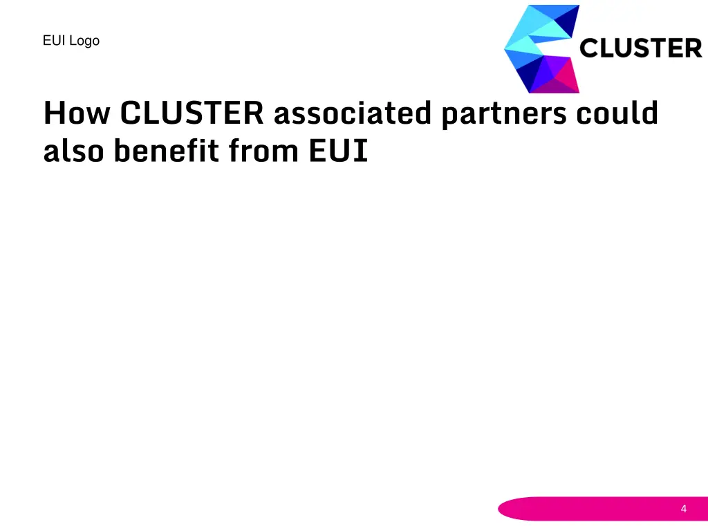 eui logo 1