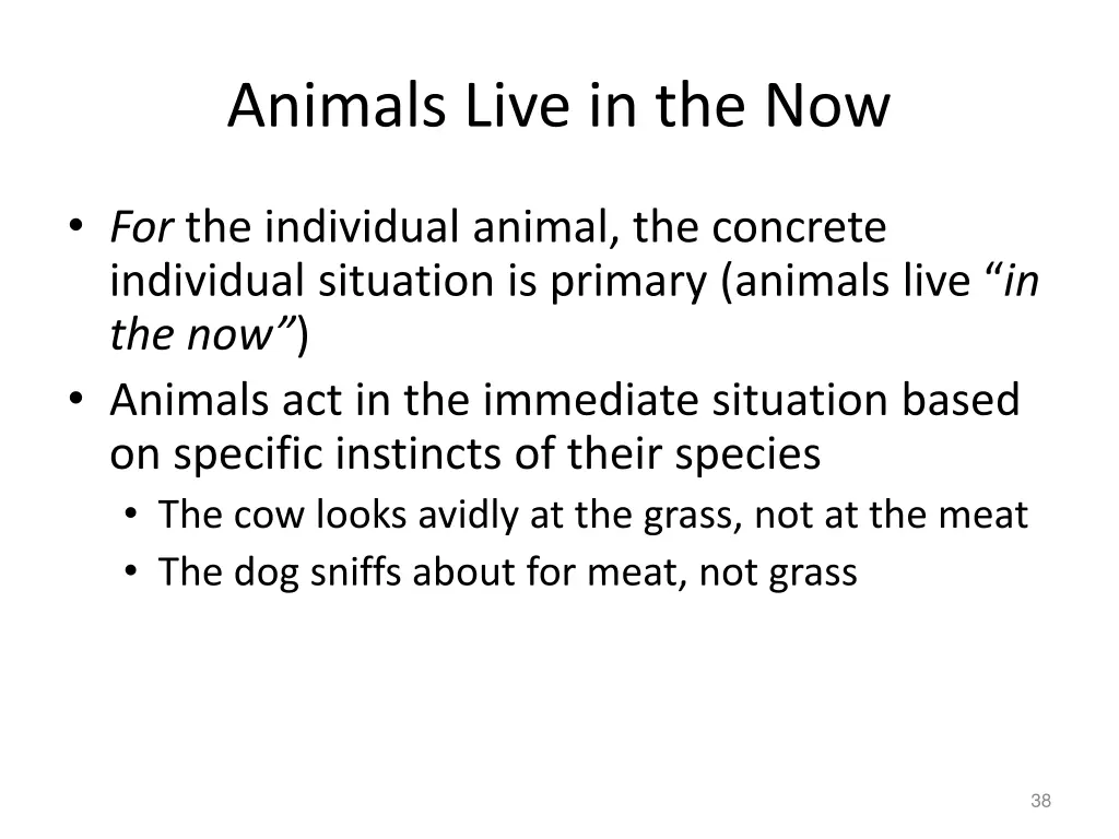 animals live in the now