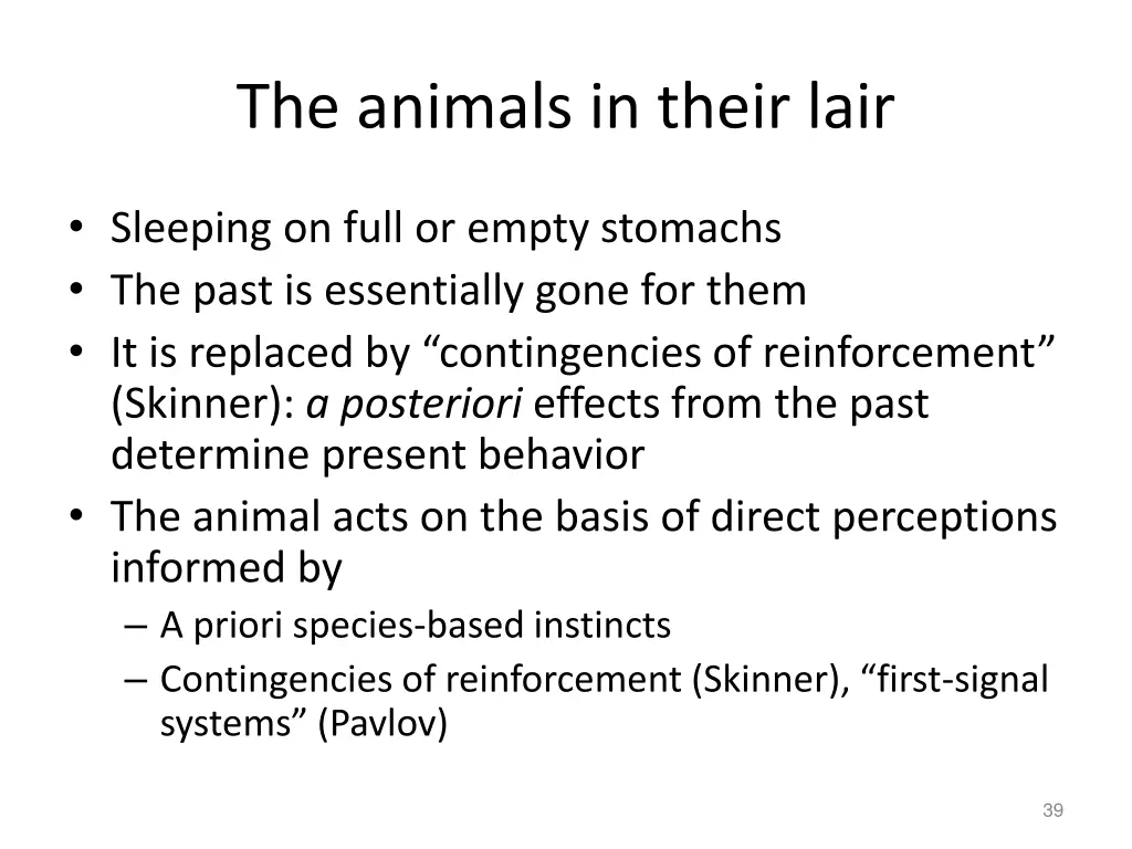 the animals in their lair