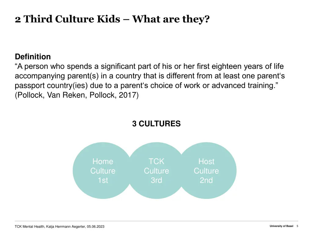 2 third culture kids what are they
