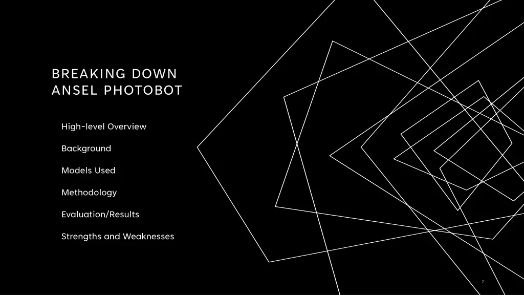breaking down ansel photobot