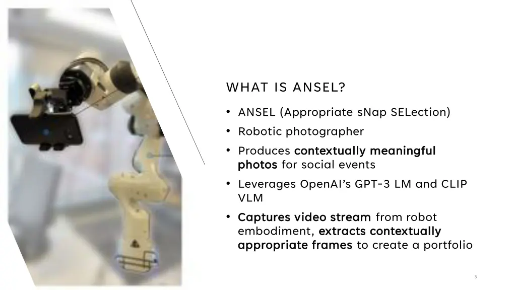 what is ansel