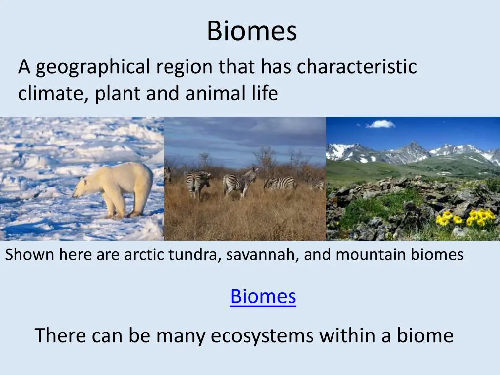 biomes