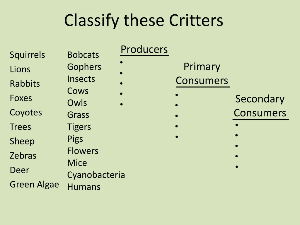 classify these critters