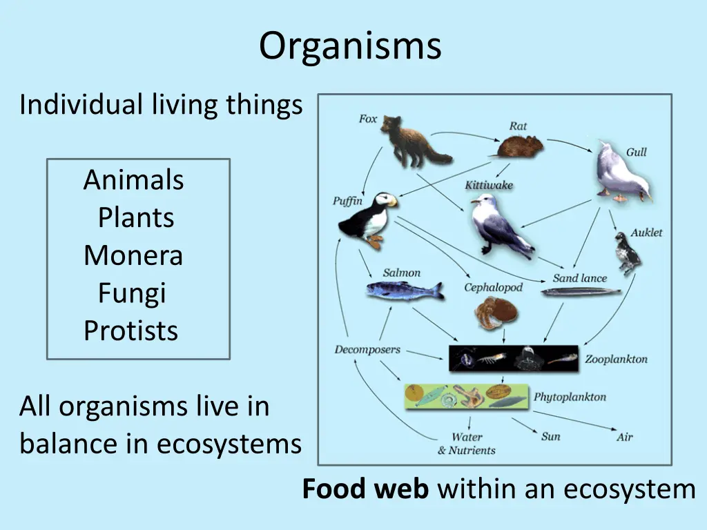 organisms