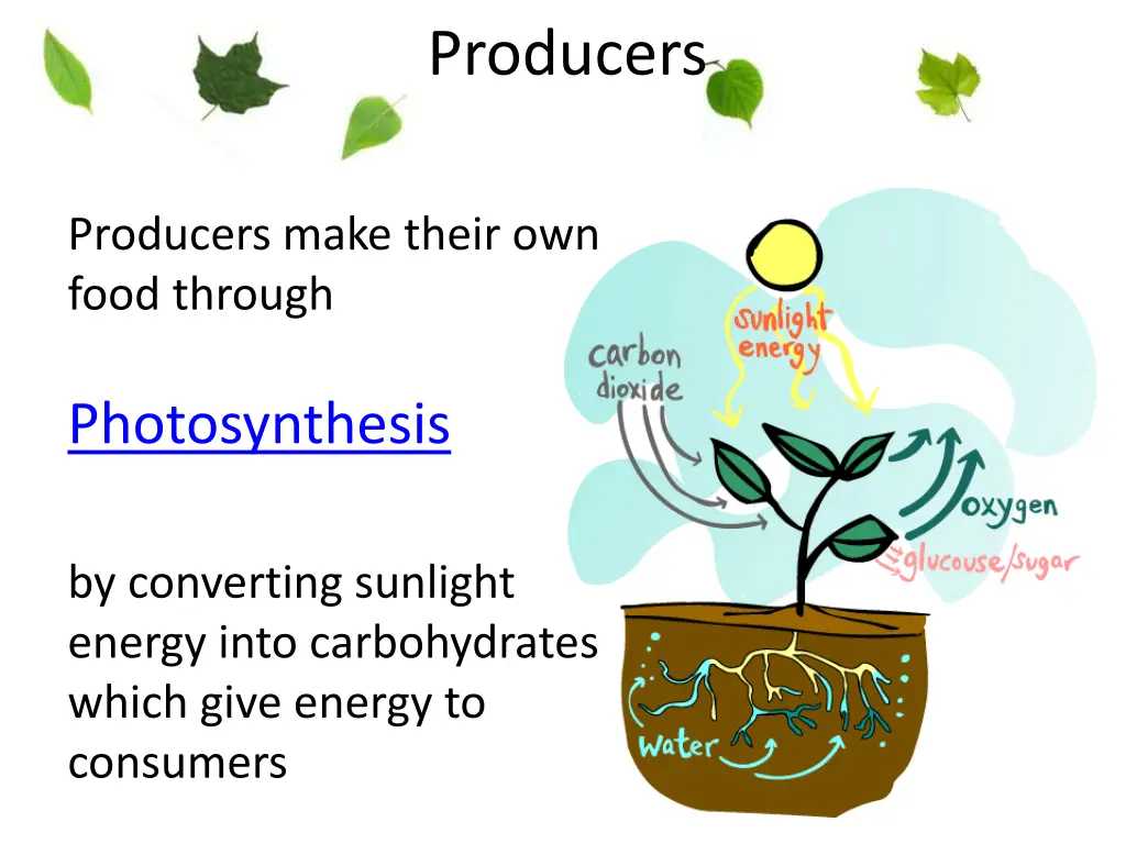 producers