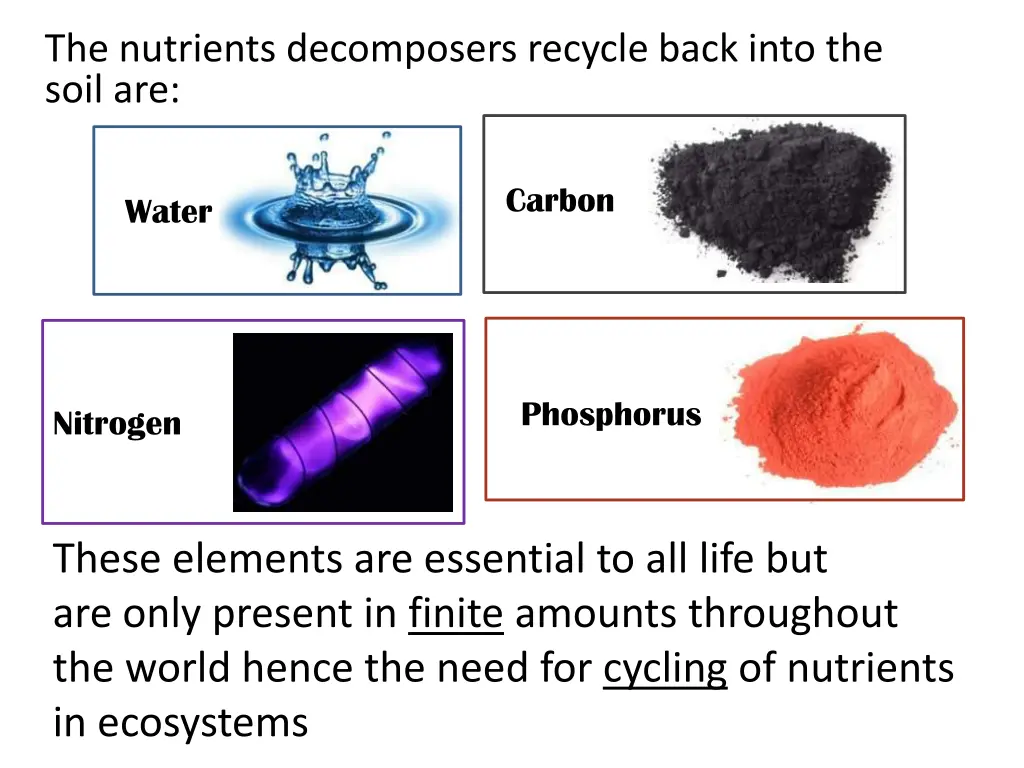 the nutrients decomposers recycle back into