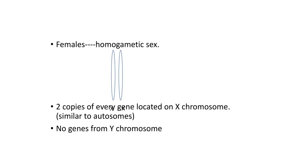 females homogametic sex