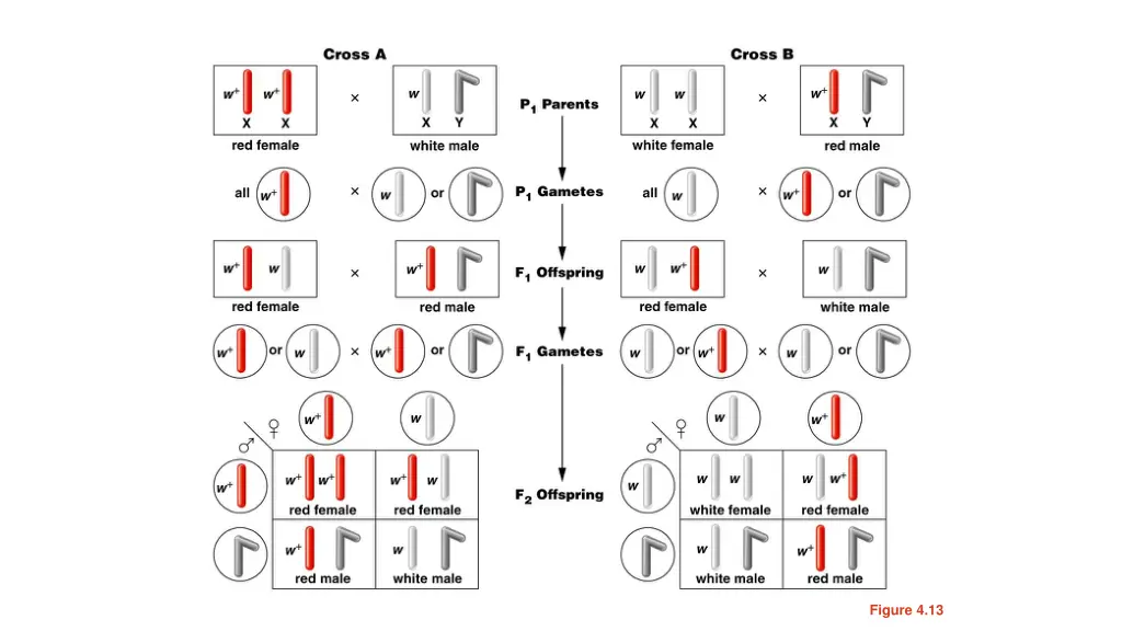 figure 4 13