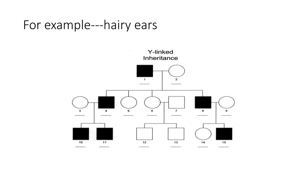for example hairy ears