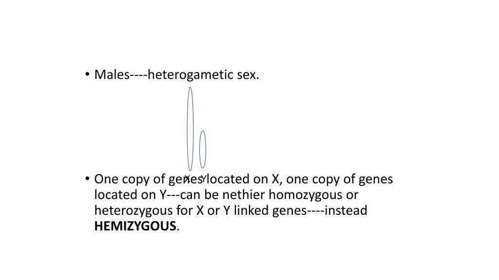males heterogametic sex