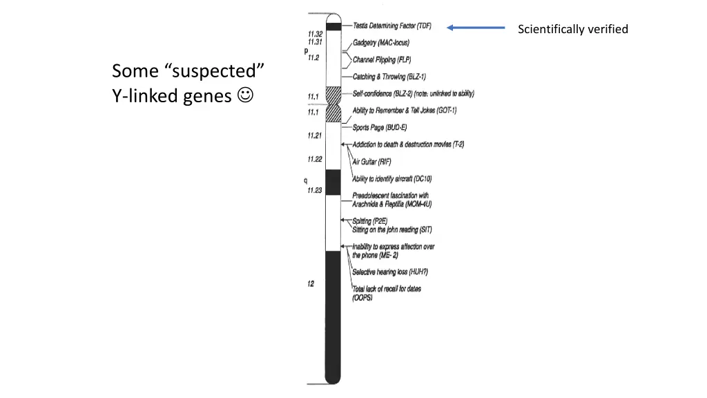 scientifically verified