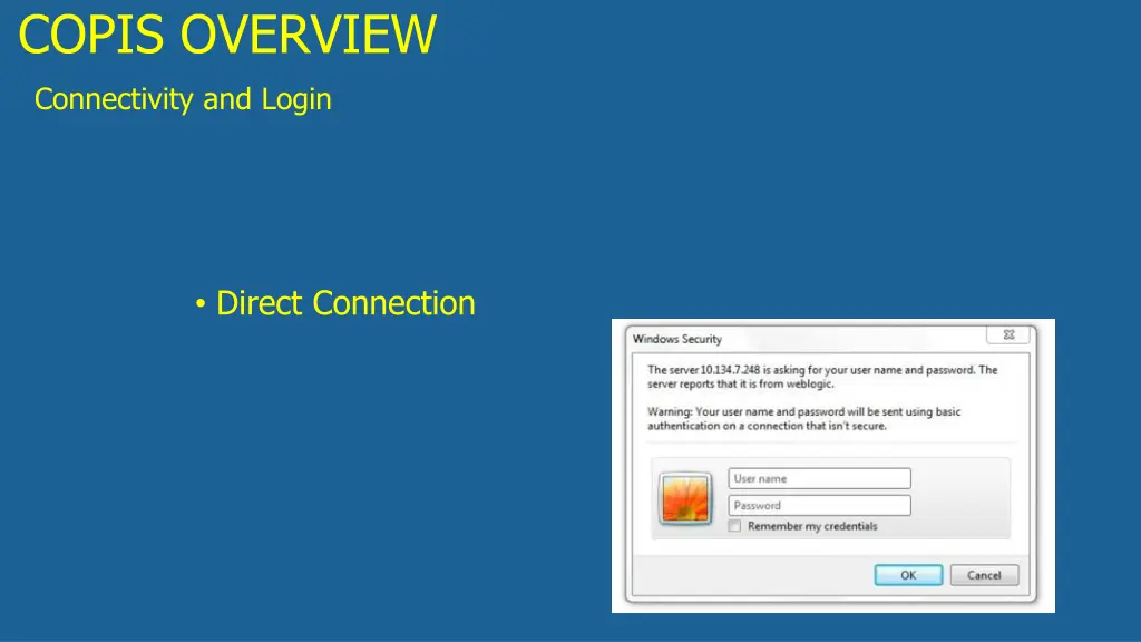 copis overview 3