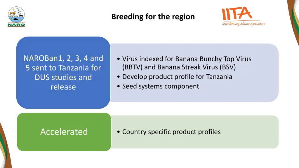breeding for the region