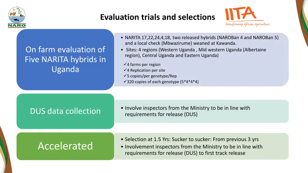 evaluation trials and selections 2