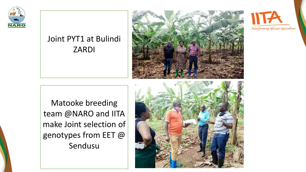 joint pyt1 at bulindi zardi
