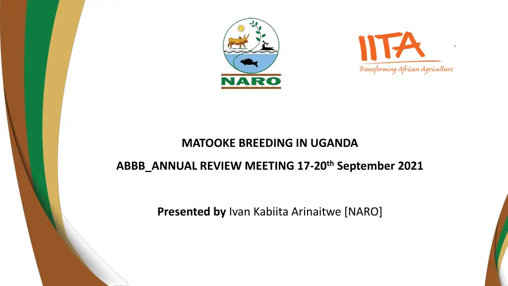 matooke breeding in uganda