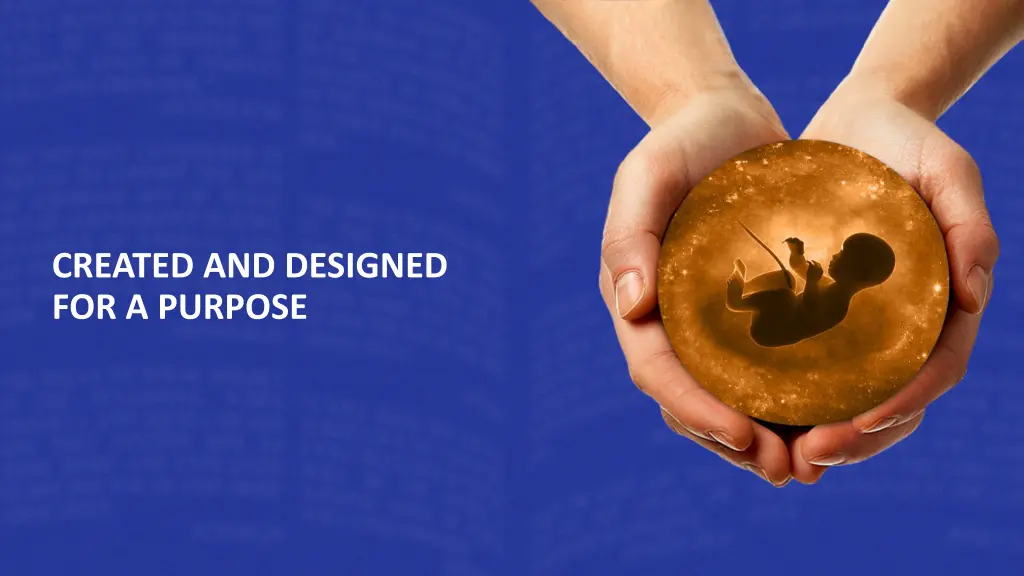 created and designed for a purpose