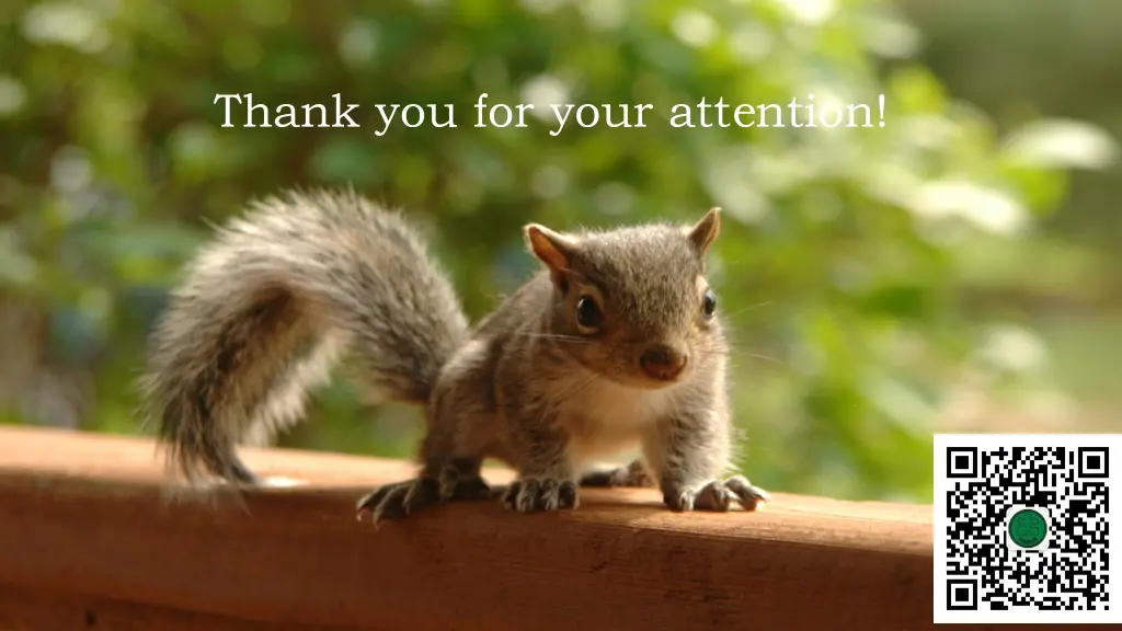 thank you for your attention