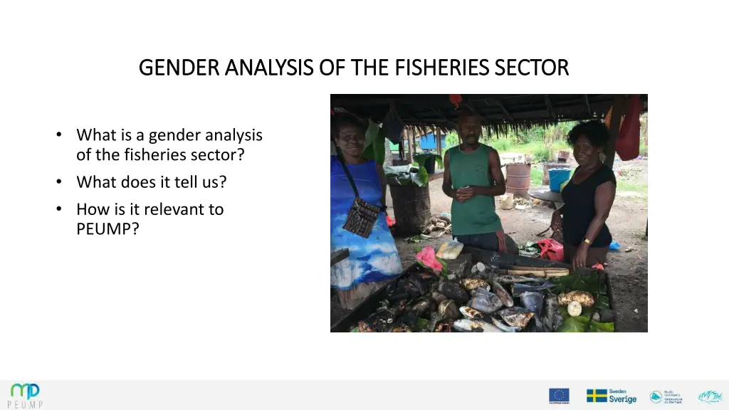 gender analysis of the fisheries sector gender